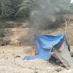 Tim Resmob Sat Reskrim Polres Kuansing Cek Dugaan Aktivitas PETI Jenis Stingkai di Desa Pulau Kopuang