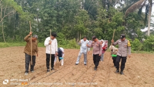 Dukung Ketahanan Pangan, Polsek Kuantan Mudik Tanam Jagung di Desa Petapahan