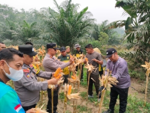 Polsek Benai Dukung Swasembada Pangan di Geringging Baru