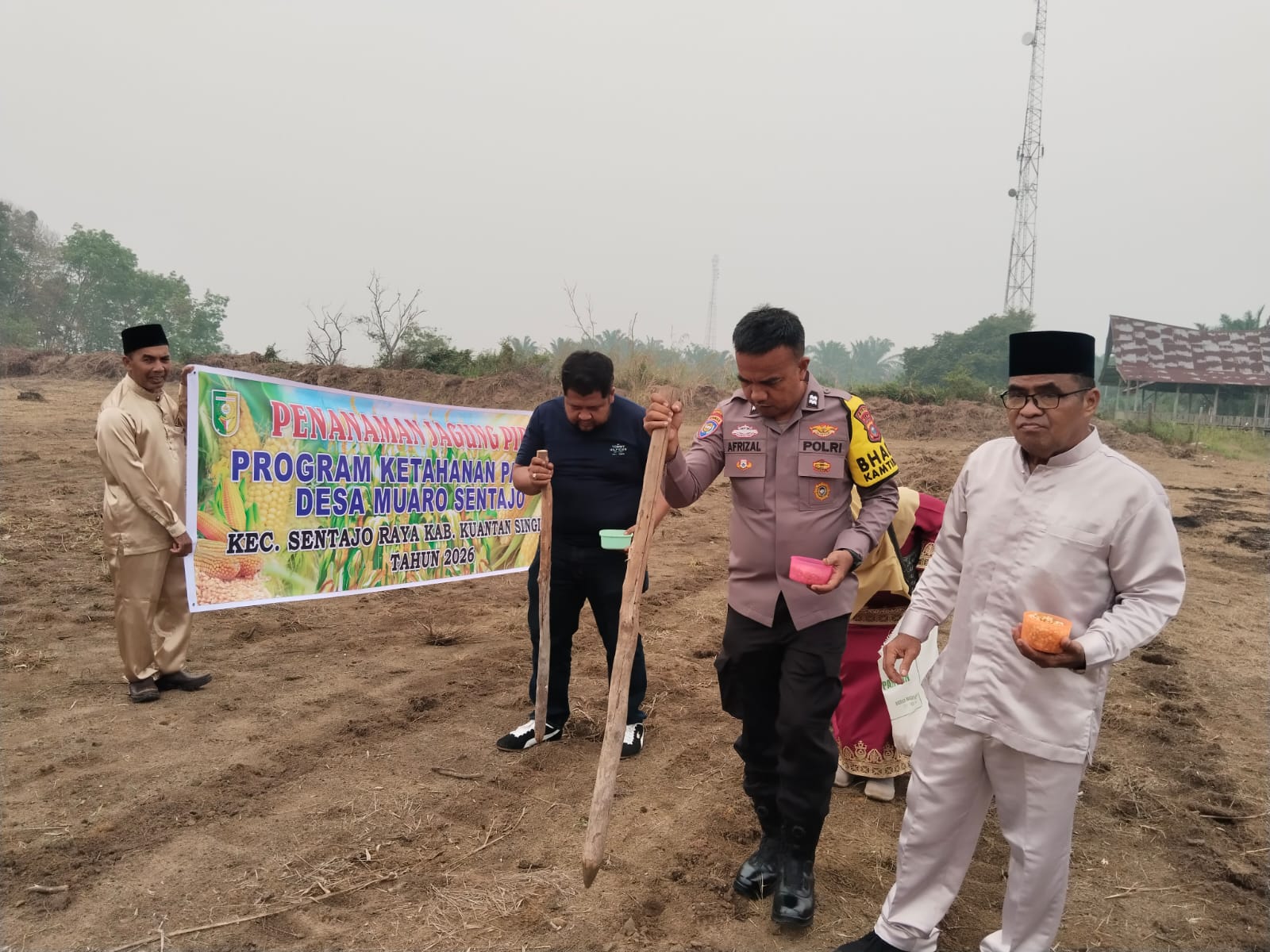Polsek Kuantan Tengah Dukung Ketahanan Pangan melalui Penanaman Jagung di Muaro Sentajo