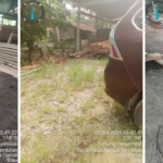 DPC AWI Kota Dumai Soroti Bebasnya Operasi Panglong dan Pengepul Kayu Diduga Ilegal di Sungai Sembilan.